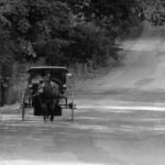 🚃 Descubre los Fascinantes Transportes Antes del Automóvil: Una Mirada al Pasado 🕰️