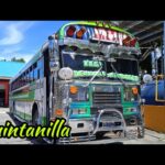 🚌 ¡Descubre los mejores servicios de transporte 🚚 Quintanilla! | Blog de Transportes Quintanilla