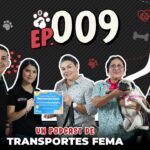 🚚 ¡Descubre los increíbles servicios de transportes 🚺📦 FEMA y lleva tu carga con total seguridad y eficiencia! 🌟