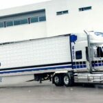 🚚🐃 Descubre los increíbles servicios de Transportes Bisonte 📦✨ ¡La solución perfecta para tus necesidades de transporte!