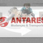 🚚 ¿Buscas transportes antares de confianza? Descubre cómo contratar los mejores en un solo clic 🚚