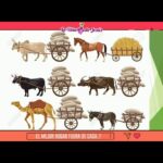 🚍 Descubre los fascinantes transportes antiguos: historia, curiosidades y fotografías 📸